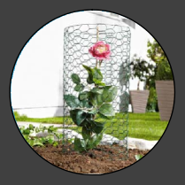 Hexagonal Wire Netting