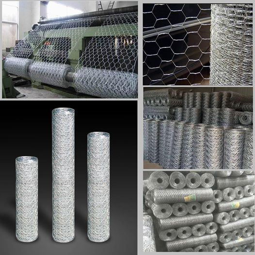 53209764_575063939677193_503419228502622208_o