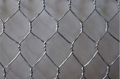 hexagonal wire netting