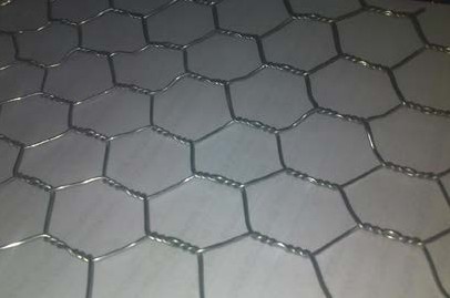 hexagonal wire netting